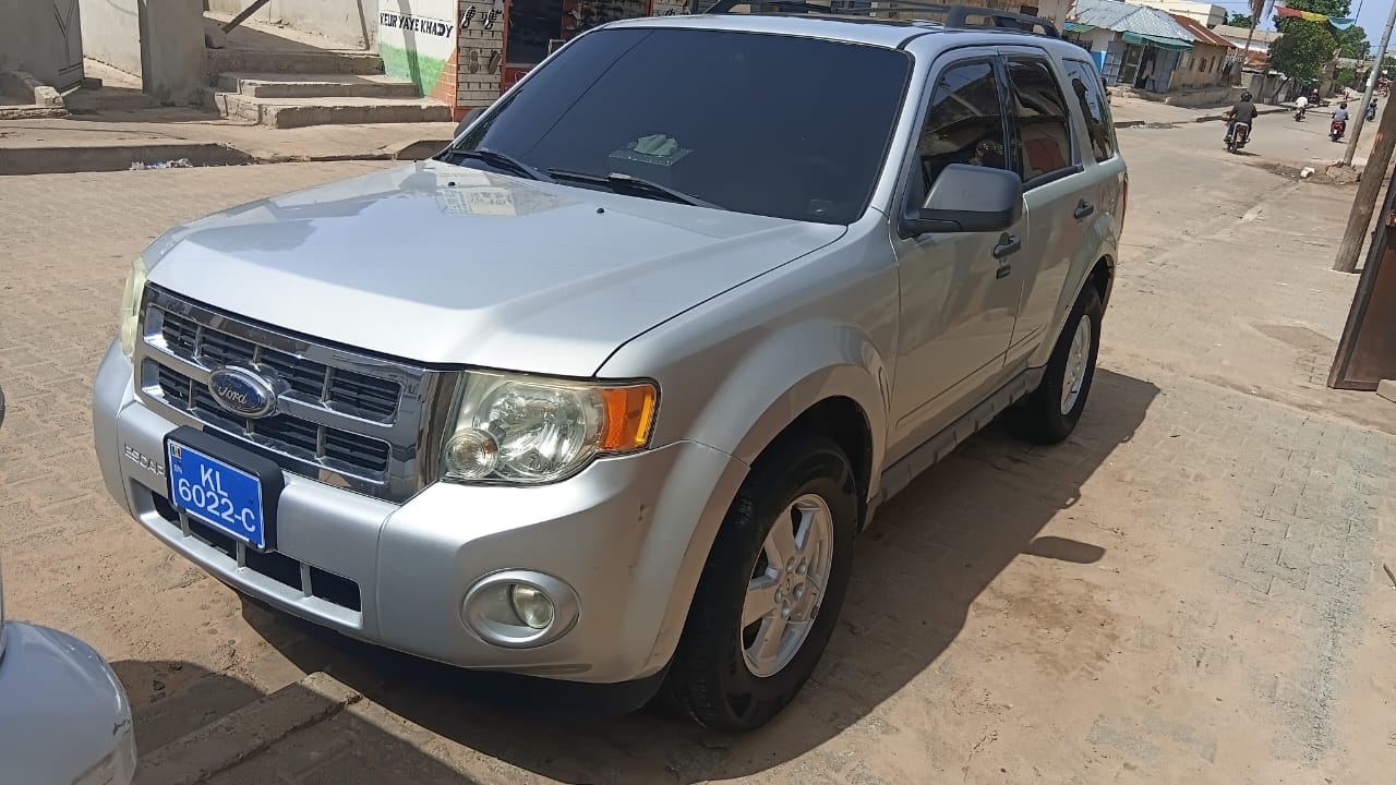 Ford Escape 4x4 argentée vue en entier